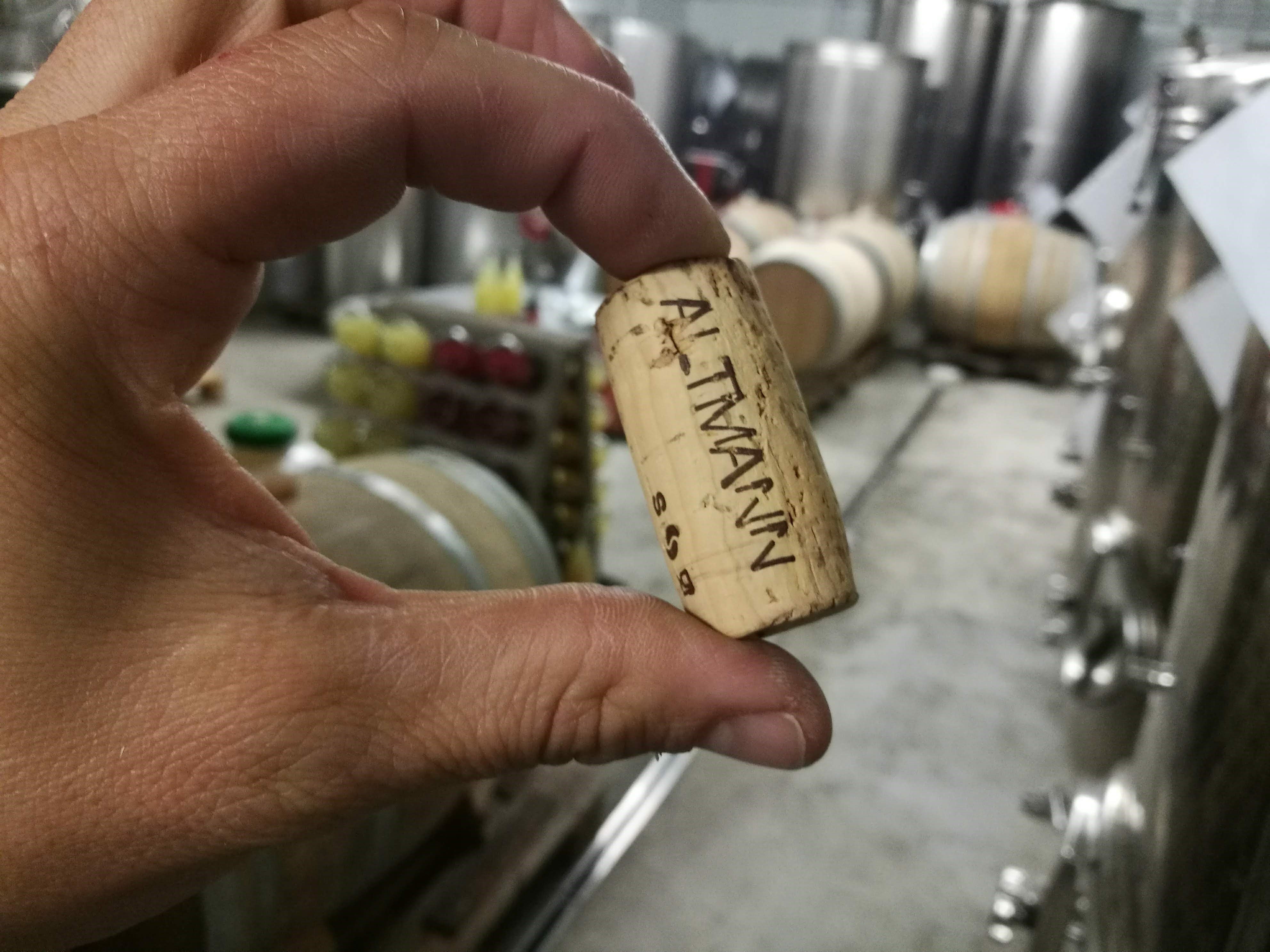 Hand holds a wine cork with the inscription 'ALTMANN' in a wine cellar.