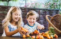 Zwei fröhliche Kinder sammeln saftige Marillen in einem malerischen Garten. Die Sonne strahlt und die bunten Früchte leuchten in der warmen Sommerluft, während die Kinder mit Lachen und Freude die Ernte genießen.