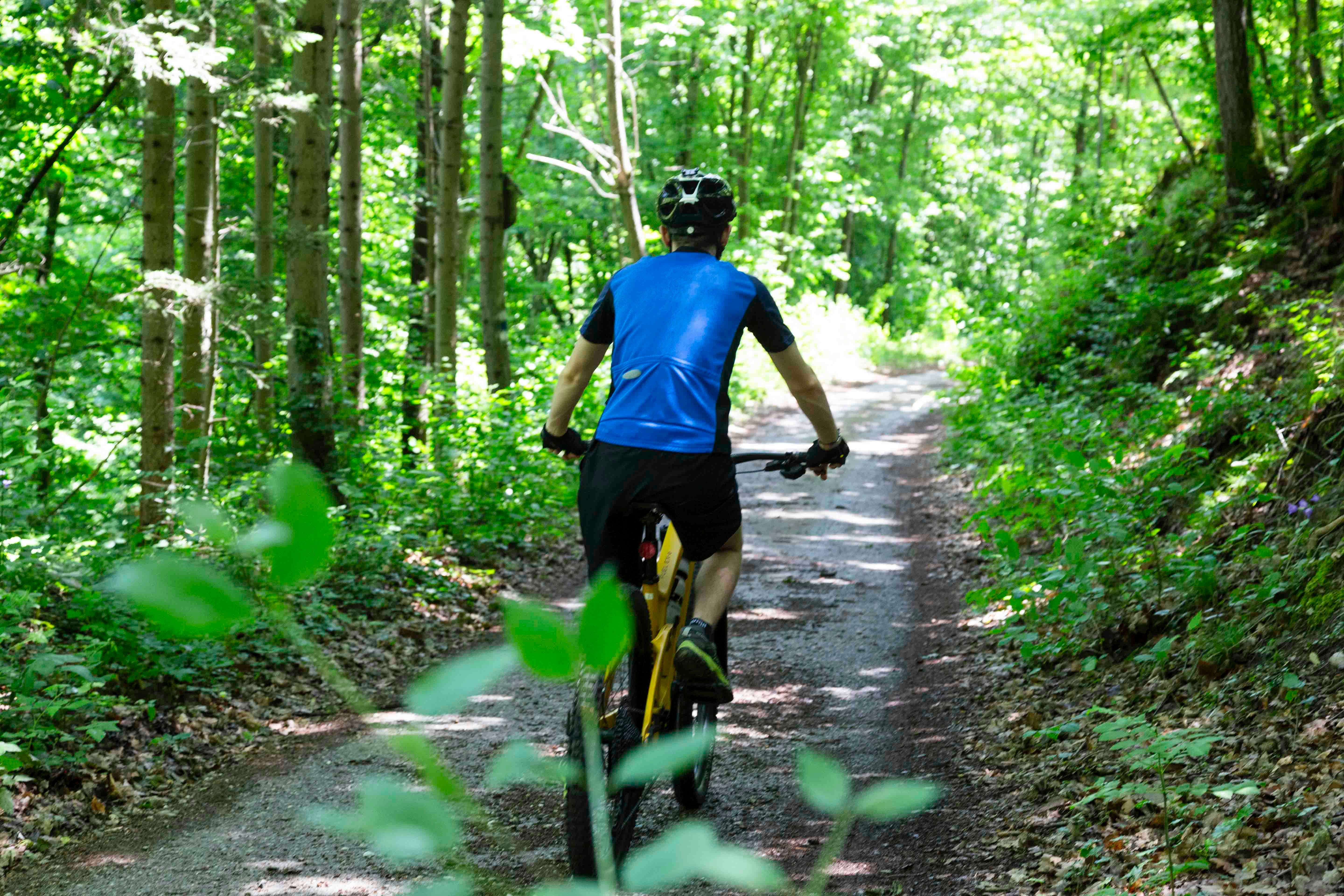 MTB-Biker auf dem Rad am Waldweg von hinten