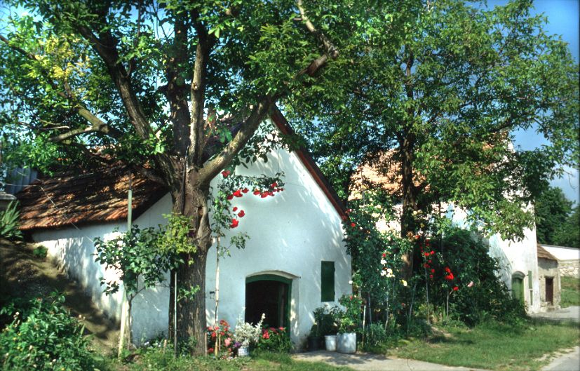 Weißes Haus mit rotem Dach, umgeben von Bäumen und Blumen.