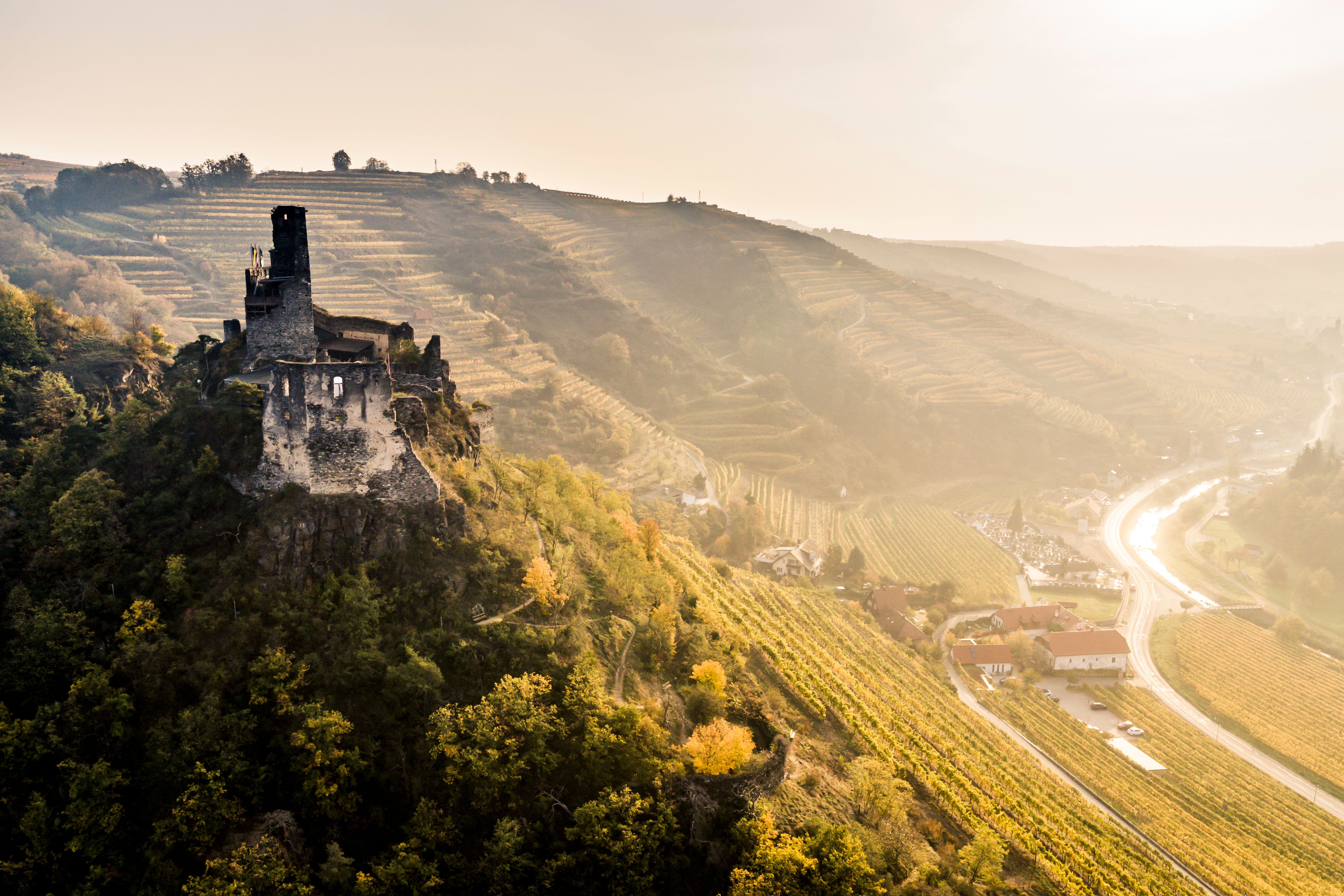 Beleuchtete Burgruine Senftenberg bei Dämmerung, umgeben von Bäumen und Weinbergen.