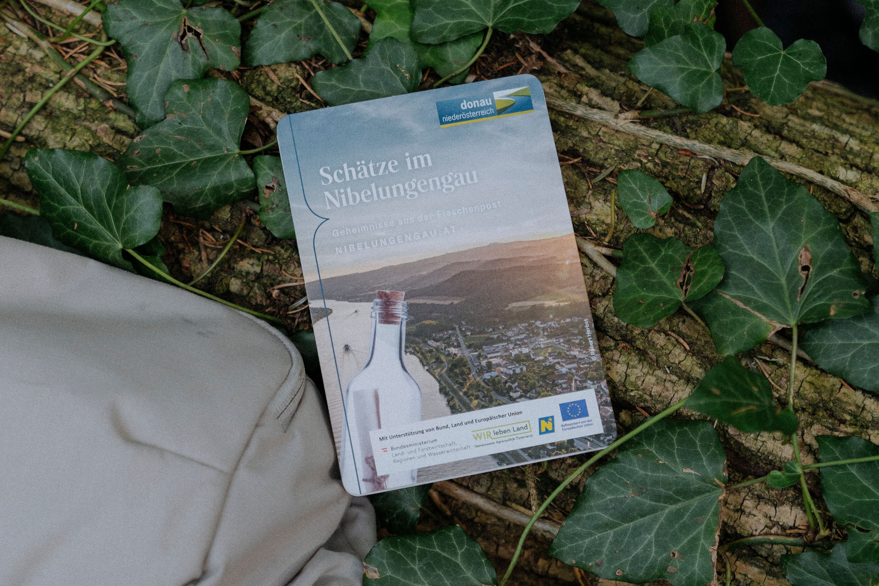 Die Schatzkarte zu den Schätzen im Nibelungengau: ein Wegweiser zu Genuss, Kultur und Natur. 