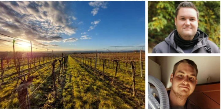 Weingarten und Foto der Brüder 