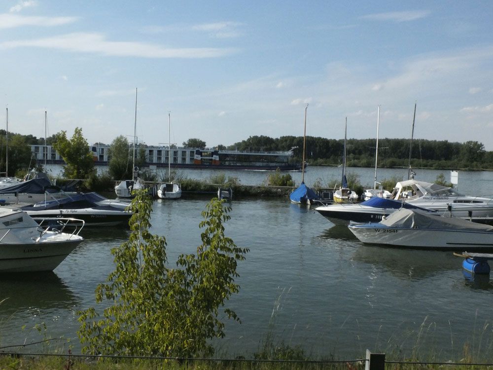 Boats in the harbor of the Muckendorf yacht club on a sunny day.