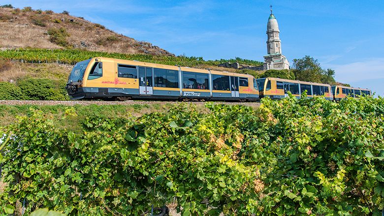 A yellow Wachau Railway train travels through a green vineyard landscape with a church in the background.