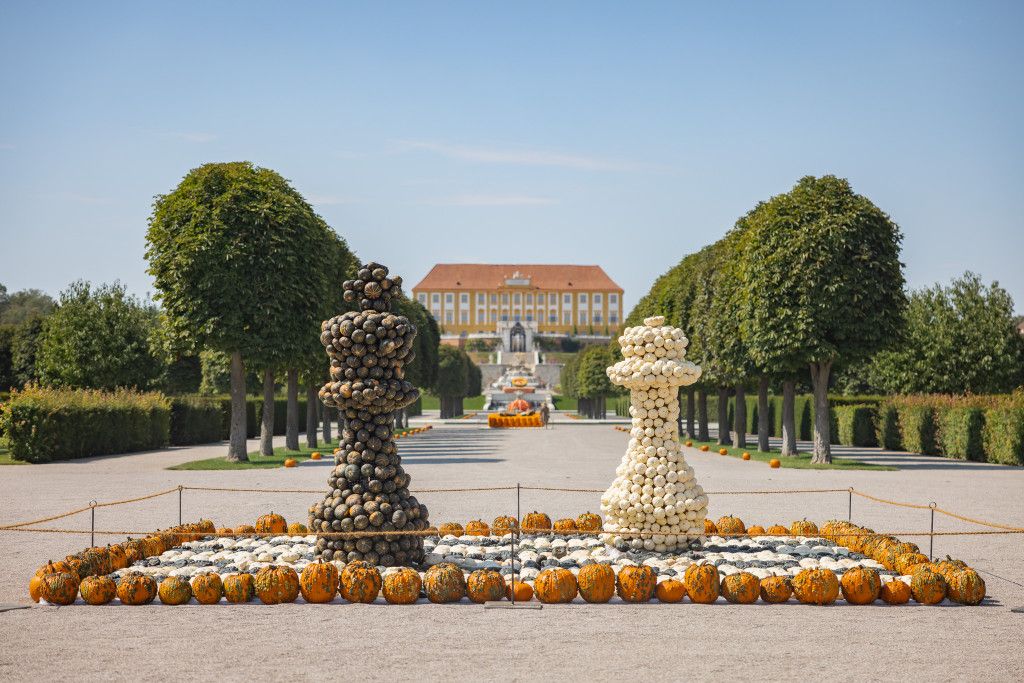 Kürbisschachbrett Schloss Hof