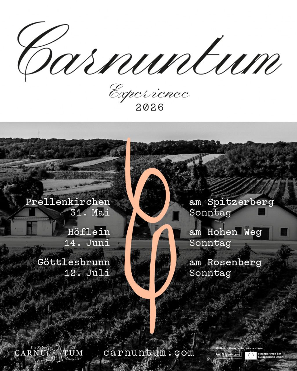 Carnuntum Experience - Höflein