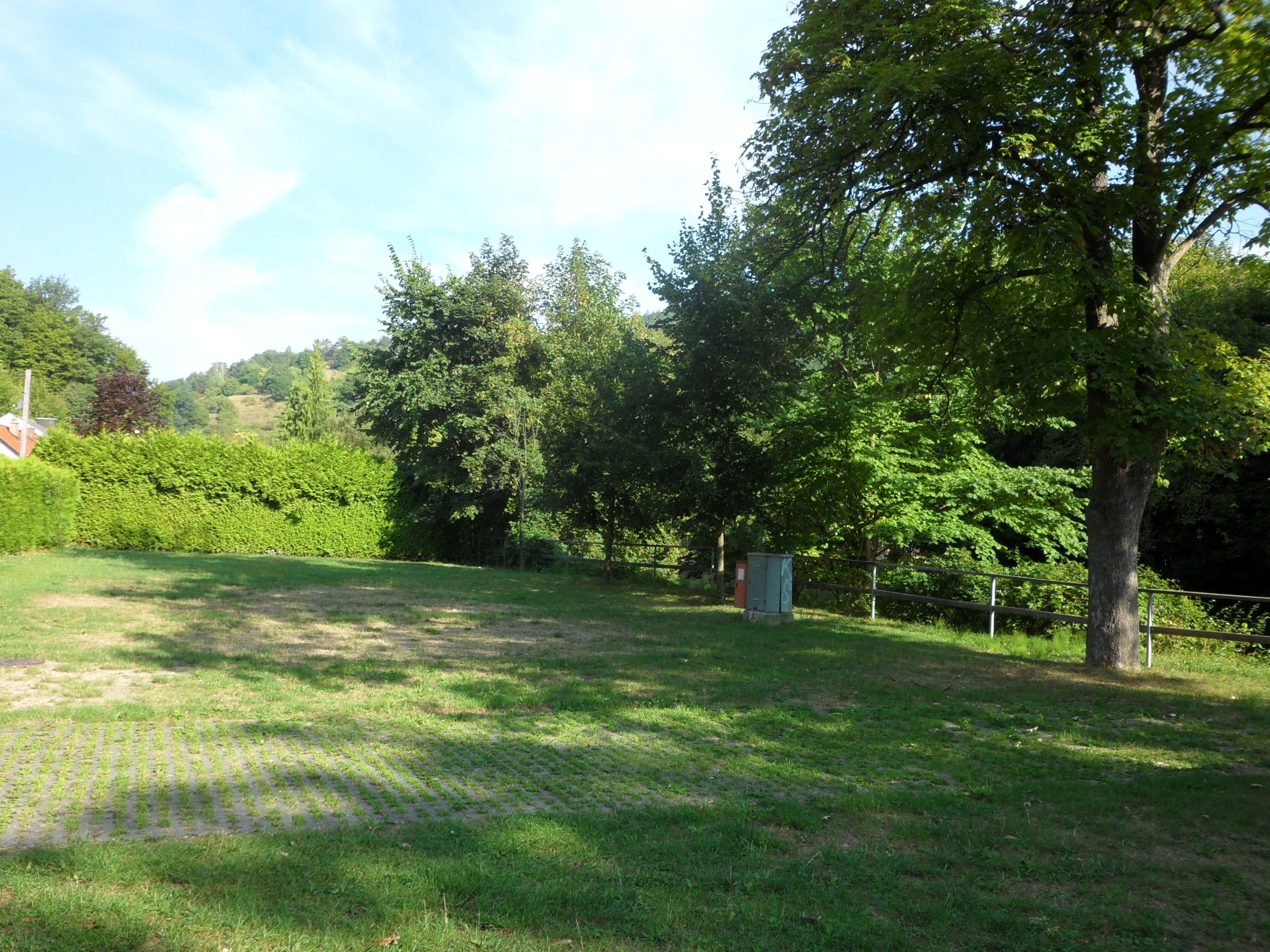 Grüne Wiese mit Bäumen und Hecken im Hintergrund, blauer Himmel.