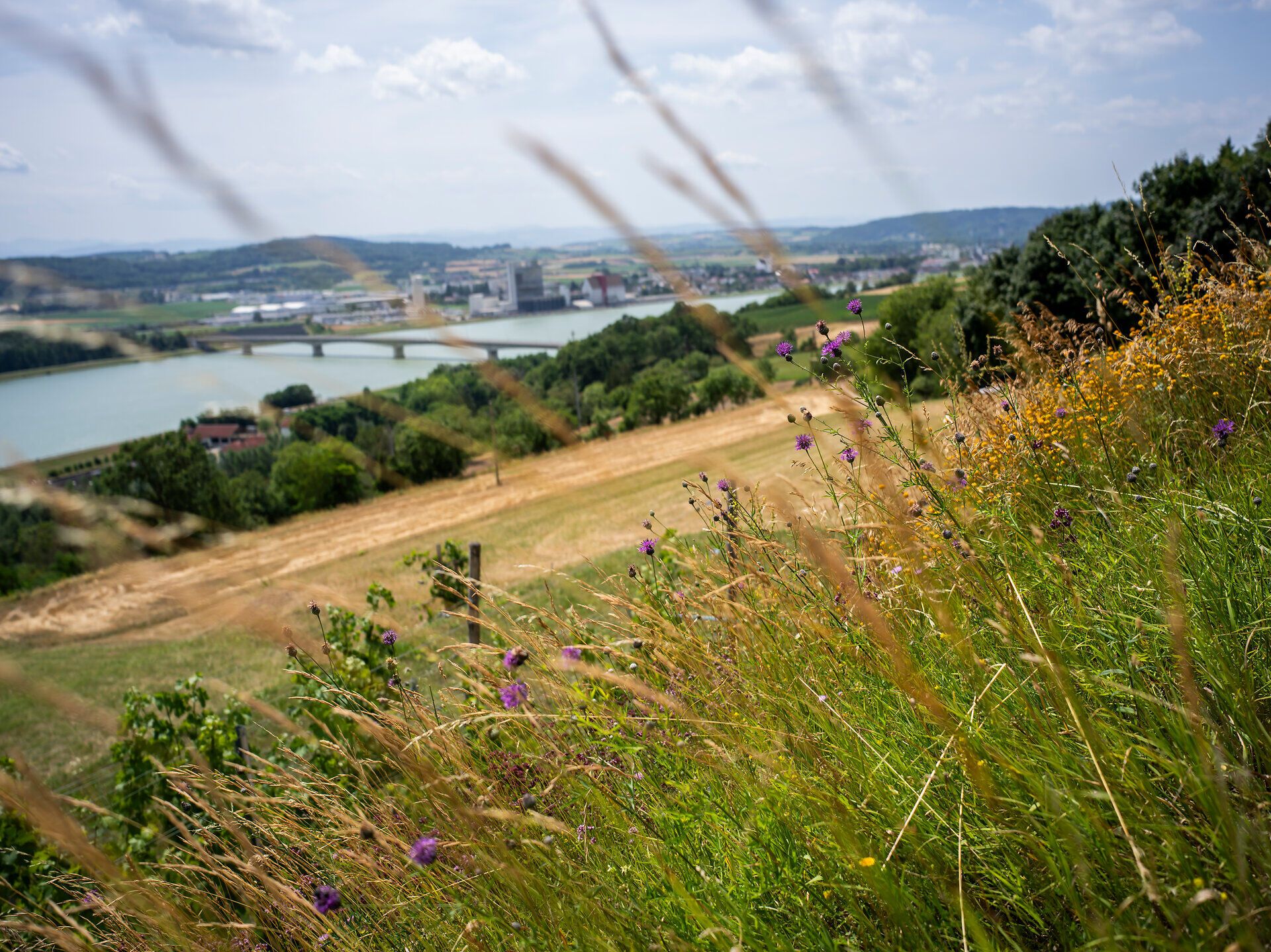 Aussicht vom Rindfleischberg im Nibelungengau mit Blick auf die Donau