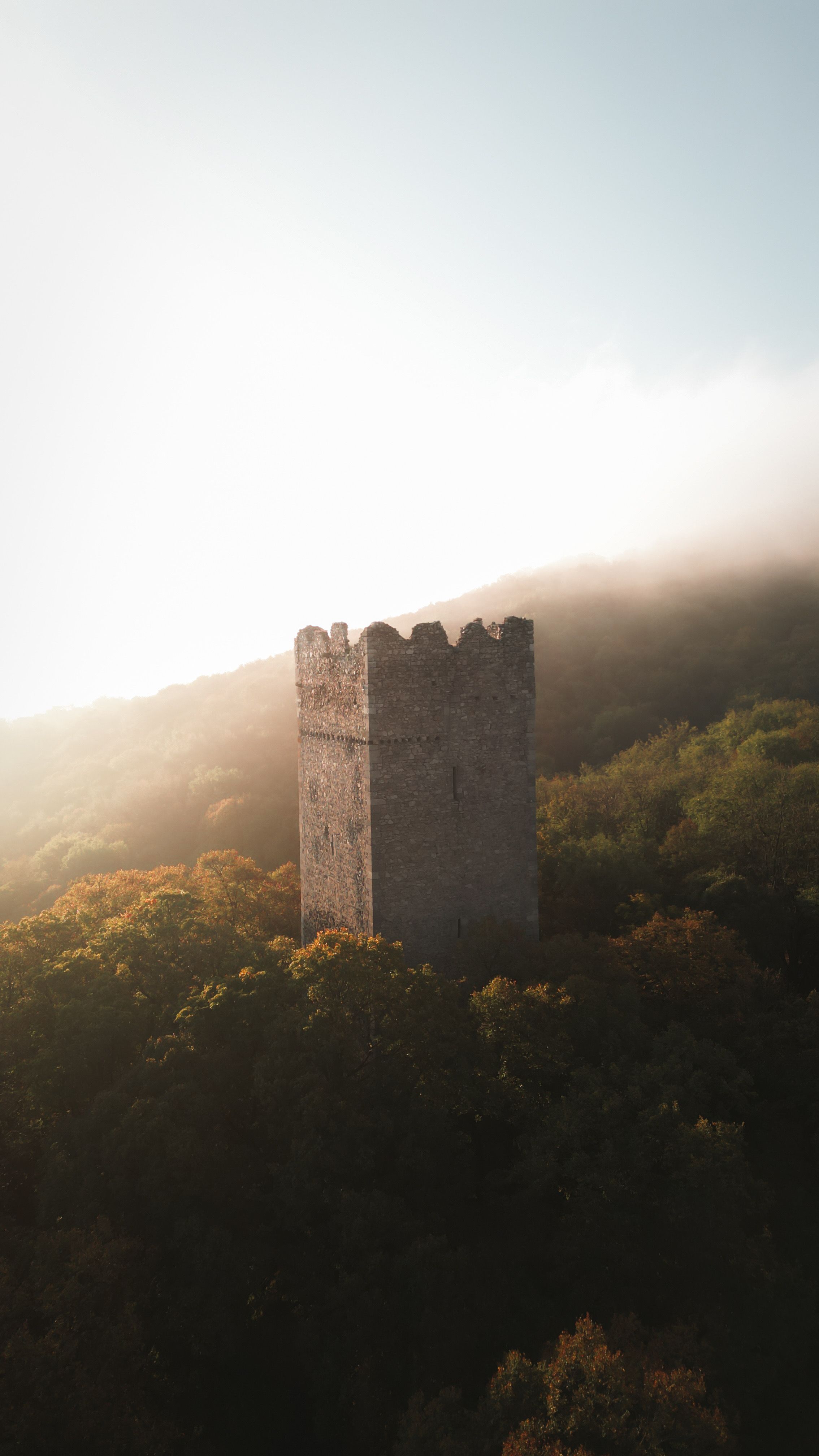 Turm einer Burg im Wald - Pottenburg