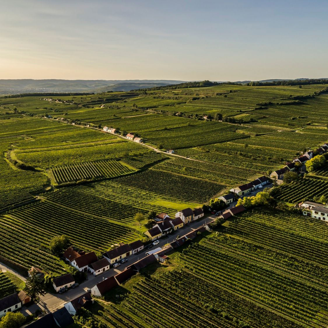 Kellergasse in Feuersbrunn/Ried Brenner