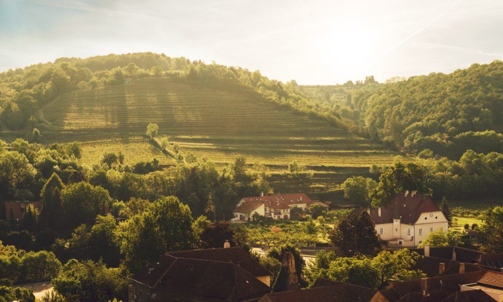 Weingut in hügeliger Landschaft mit Weinbergen und Gebäuden im Sonnenlicht.
