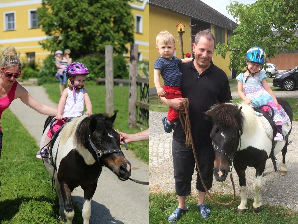 kerndlerhof_reiten_1